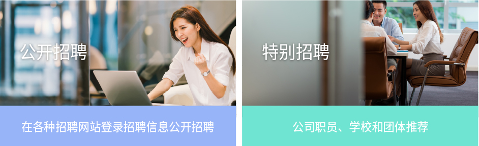公开招聘, 特别招聘